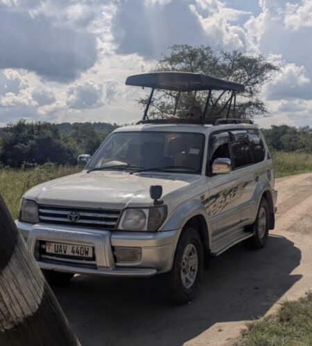 Budget self drive Uganda