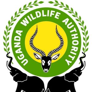 UWA - car hire Uganda